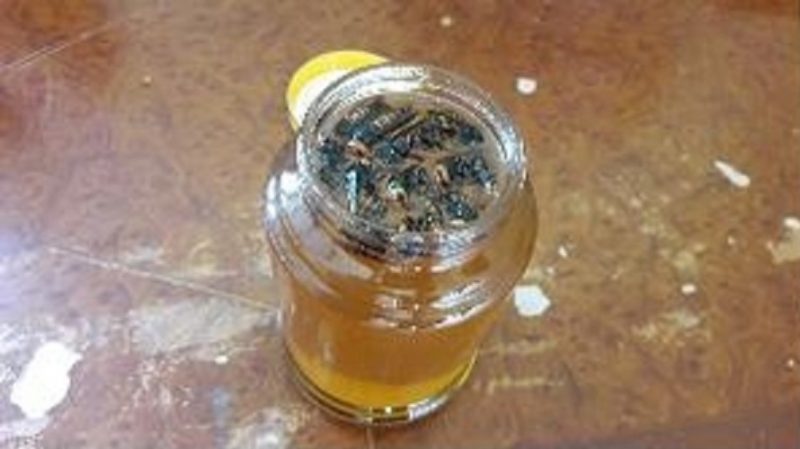 ‘말벌 꿀’ 잘못 섭취하면…생명까지 위협