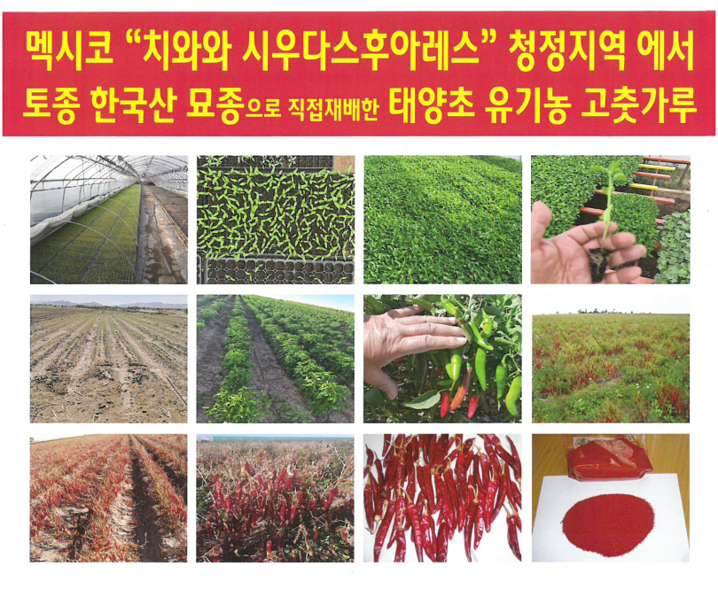 고추가루 1kg