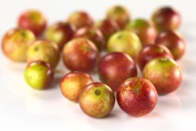 비타민C의 끝판왕, 카무카무(camu camu)