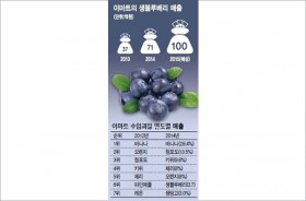 '수입과일 전성시대’…생블루베리ㆍ망고도 인기