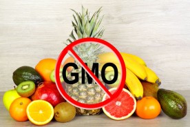 밥상을 점령한 GMO…왜 표시가 없지?