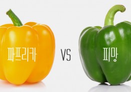 [푸드파이트] ‘파프리카 vs 피망’