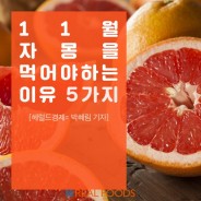 11월, 자몽을 먹어야 하는 이유 5가지