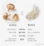 [푸드파이트]표고버섯 vs 팽이버섯, 요리에 뭘 넣지?