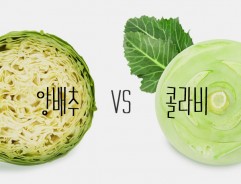 [푸드파이트]‘양배추 vs 콜라비’